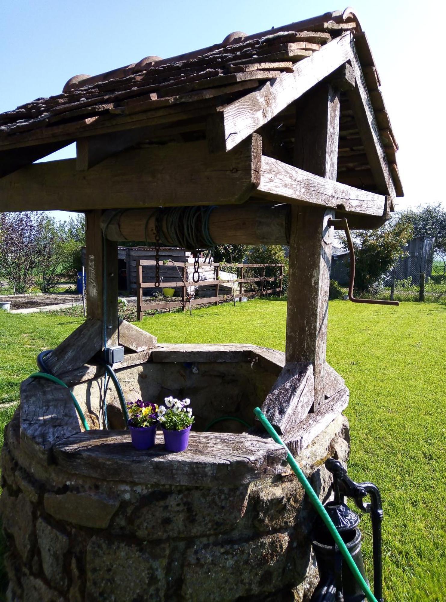 Le Beauregard Bed and Breakfast Rânes Εξωτερικό φωτογραφία