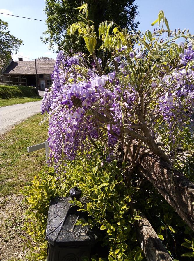 Le Beauregard Bed and Breakfast Rânes Εξωτερικό φωτογραφία